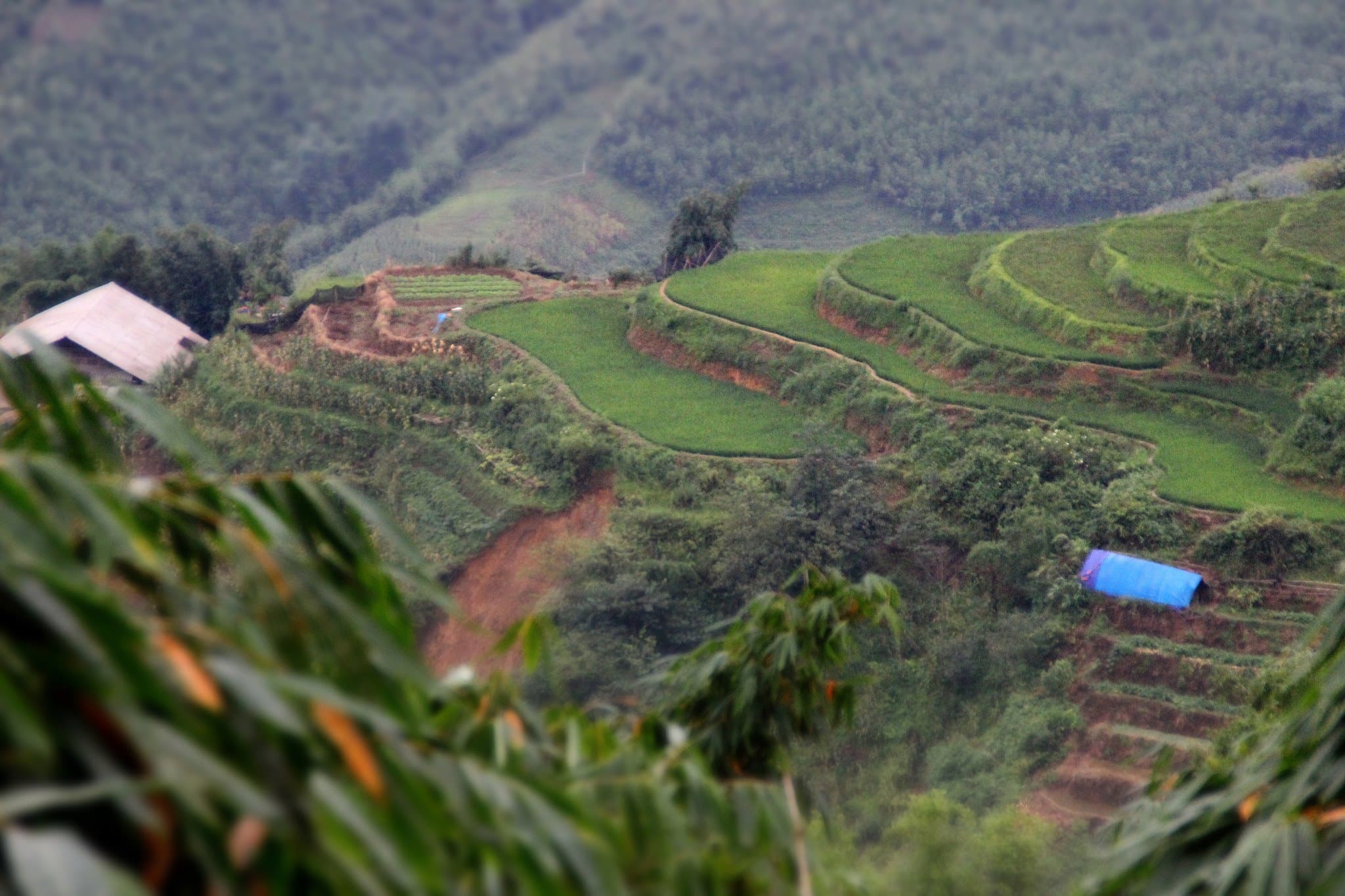 Juhovýchodná Ázia