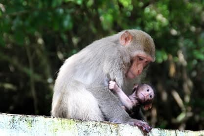 Juhovýchodná Ázia