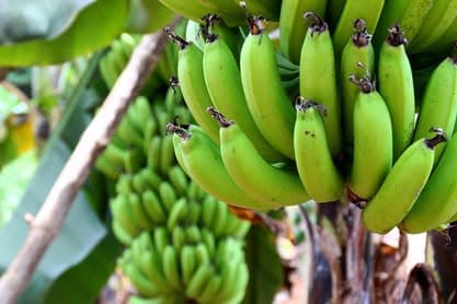 Juhovýchodná Ázia